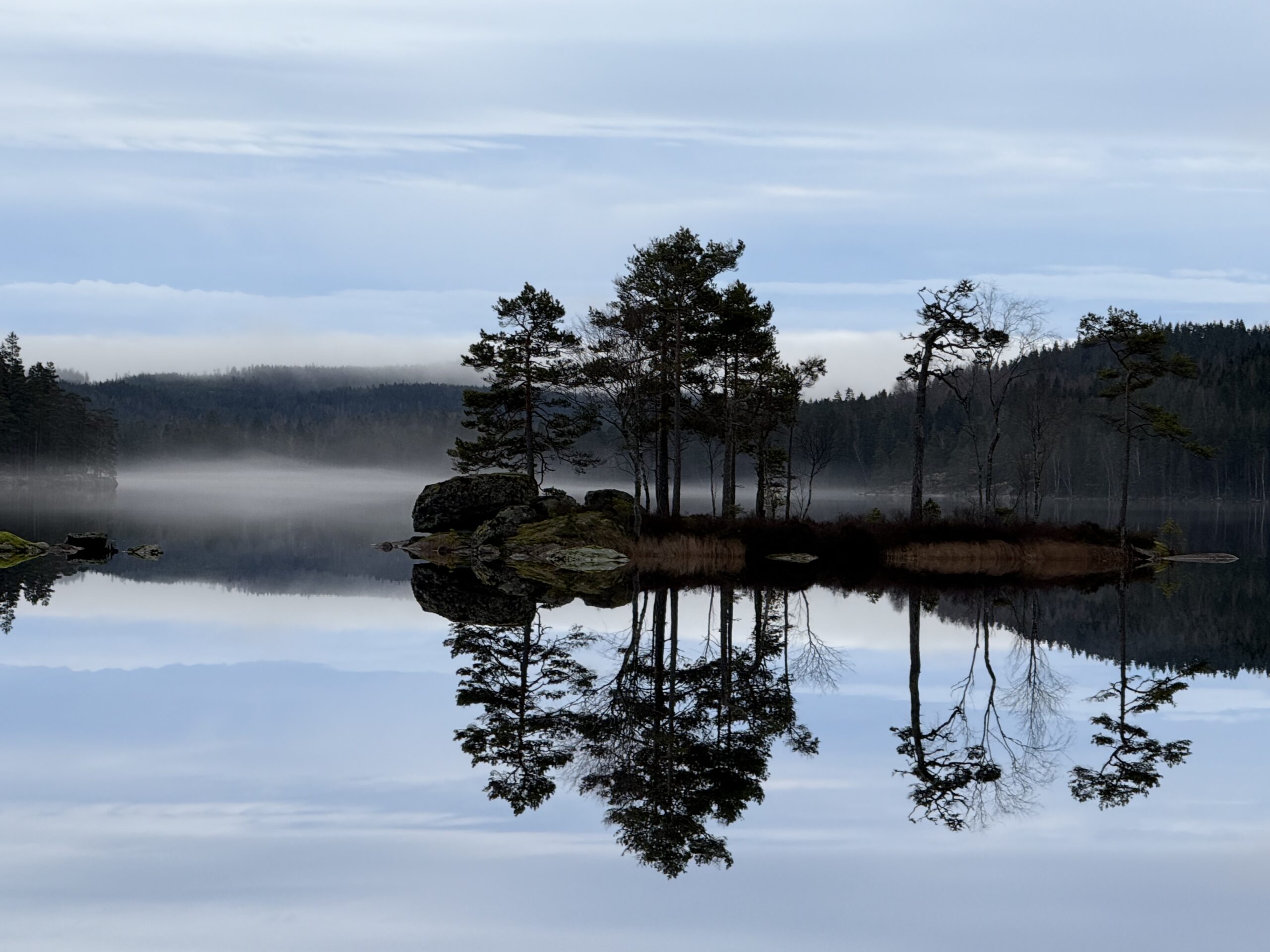 Glaskogen vinter