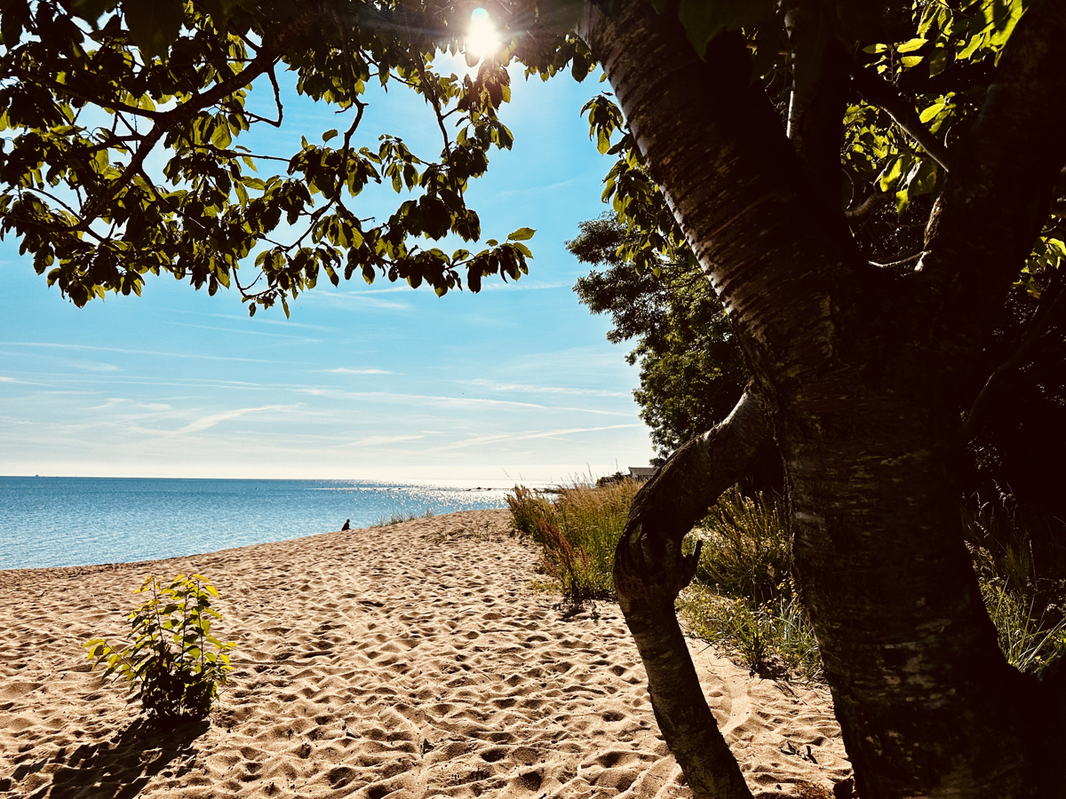 Roadtrip Skåne
