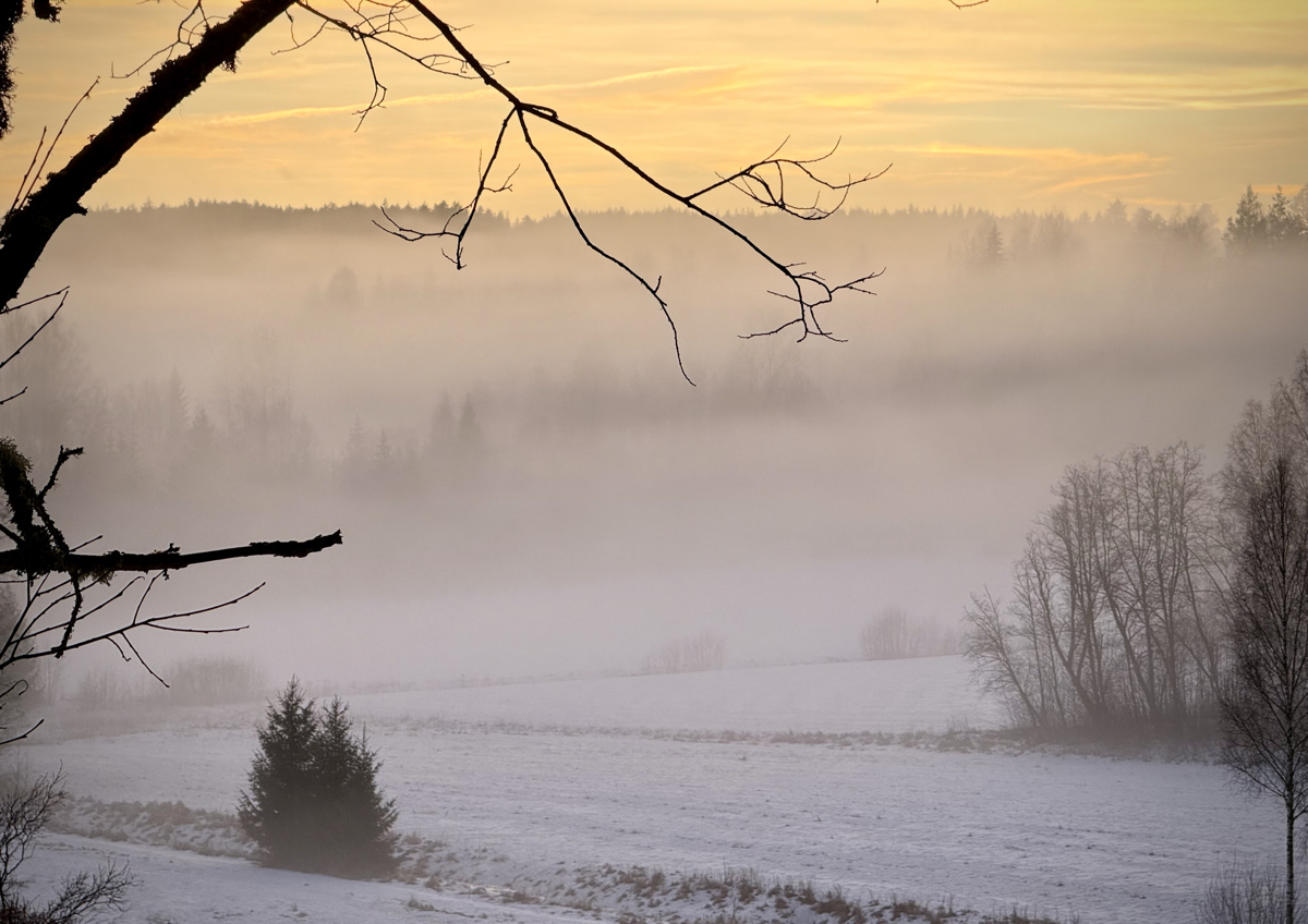 Magiskt vackert i Arvika januari 2025